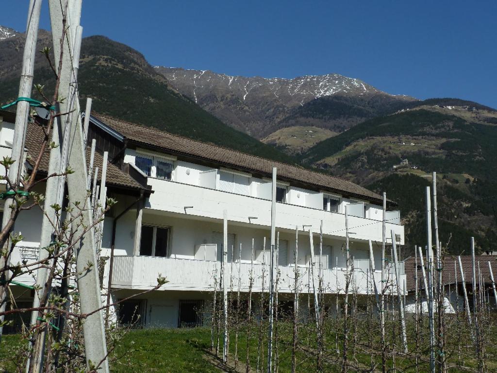 Hotel-Restaurant-Pizzeria Goldrainerhof מראה חיצוני תמונה